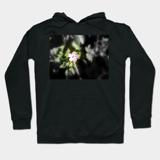 Redstem Filaree Hoodie